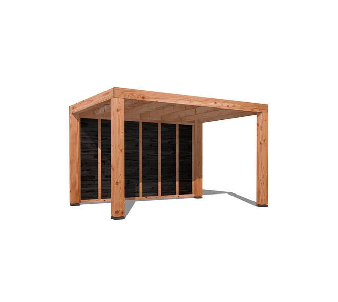 Douglas Overkapping Strak 3x4m. |  type 12 01